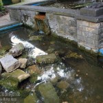 schoeningen_wallgarten15