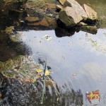 schoeningen_wallgarten16