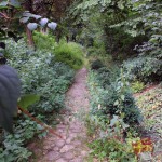 schoeningen_wallgarten17