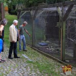 wallgarten_schoeningen11