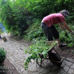 wallgarten_schoeningen2