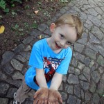 wallgarten_schoeningen6